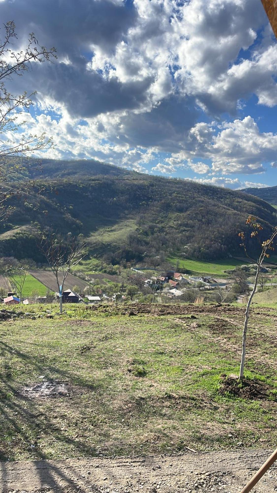 La Nuci Valea Scheilor